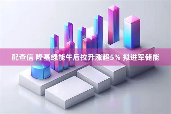 配查信 隆基绿能午后拉升涨超5% 拟进军储能