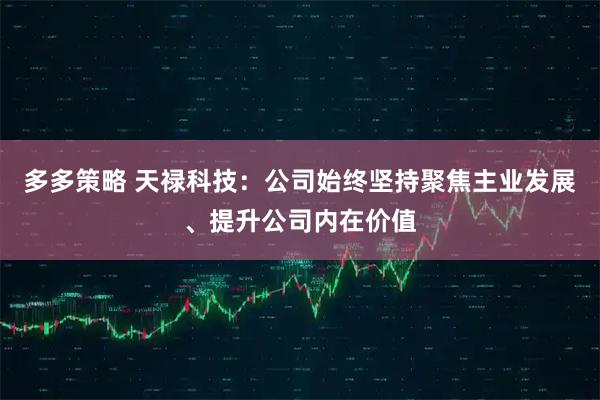 多多策略 天禄科技：公司始终坚持聚焦主业发展、提升公司内在价值