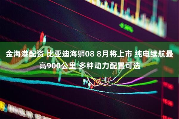金海港配资 比亚迪海狮08 8月将上市 纯电续航最高900公里 多种动力配置可选
